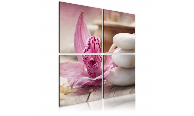 Obraz - Orchidea a zen