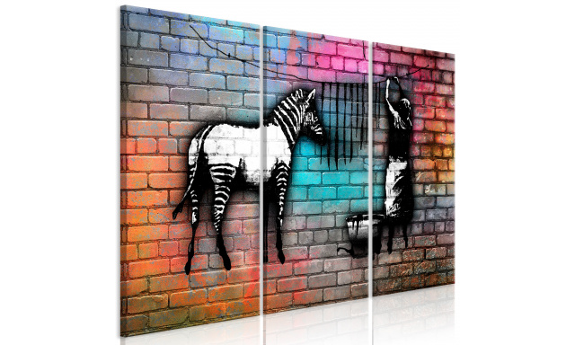 Obraz - Washing Zebra - Colourful Brick (3 Parts)