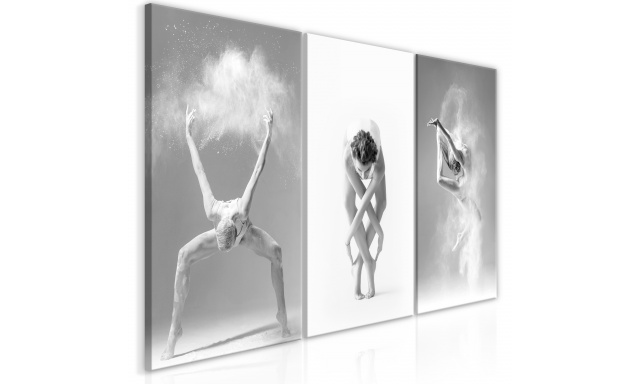 Obraz - Ballet (Collection)