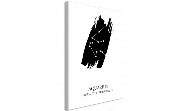 Obraz - Zodiac Signs: Aquarius (1 Part) Vertical
