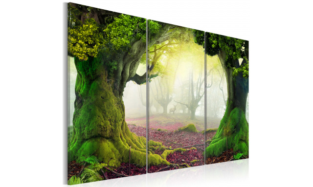 Obraz - Mysterious forest - triptych