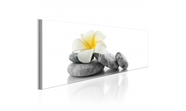 Obraz - White Lotus