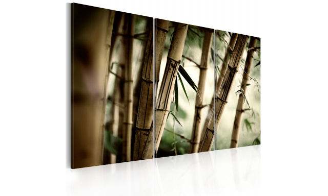 Obraz - Bambusová harmonie