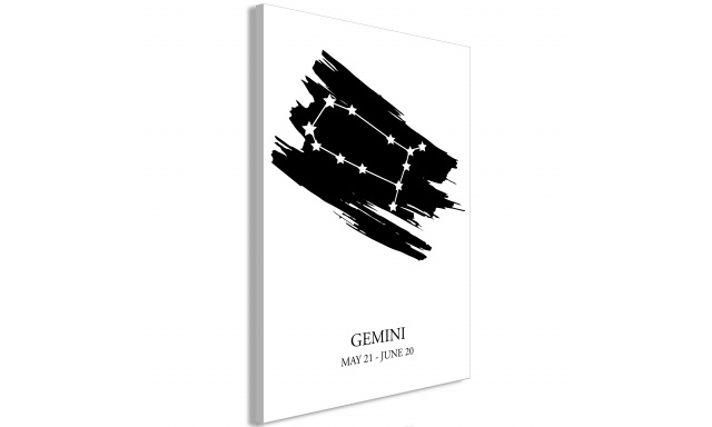 Obraz - Zodiac Signs: Gemini (1 Part) Vertical