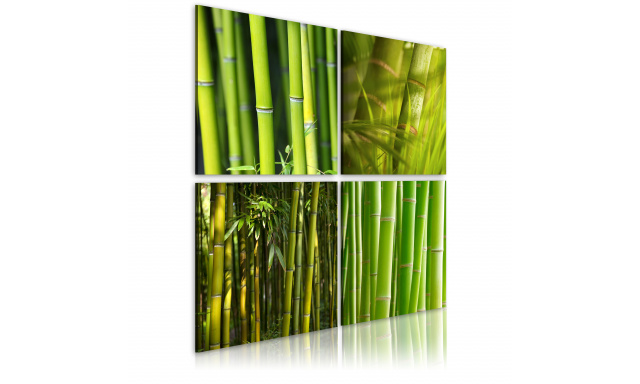 Obraz - Bamboos