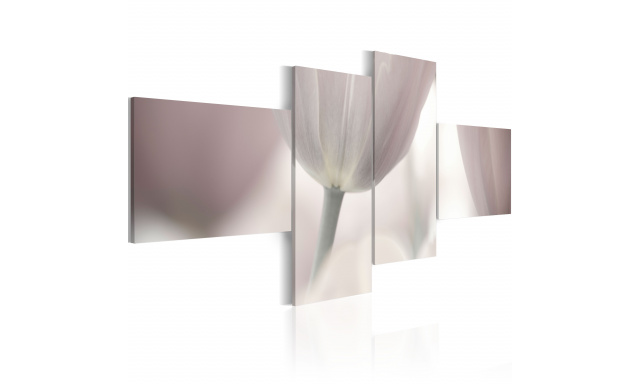 Obraz - Bílé tulipány