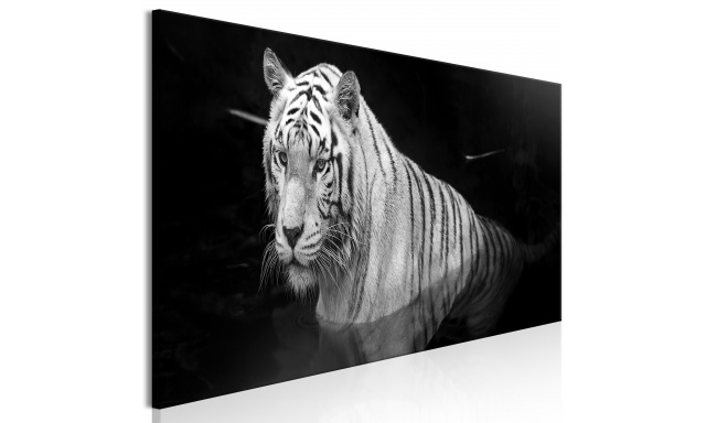 Obraz - Shining Tiger (1 Part) Black and White Narrow