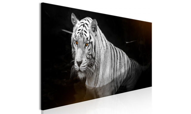 Obraz - Shining Tiger (1 Part) Orange Narrow