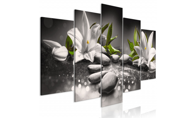 Obraz - Lilies and Stones (5 Parts) Wide Grey