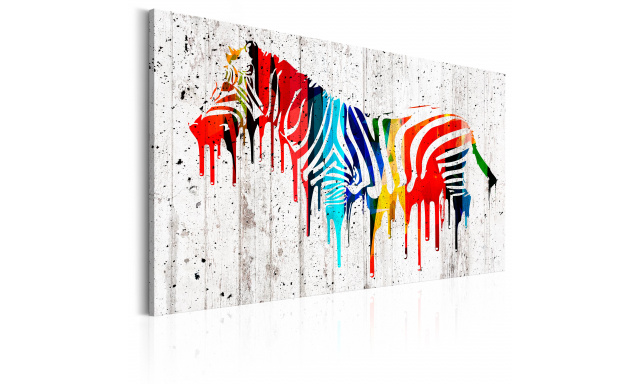 Obraz - Barevná zebra