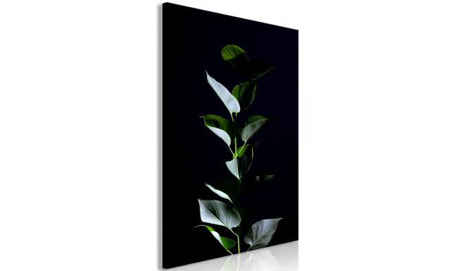 Obraz - Plant in Black (1 Part) Vertical