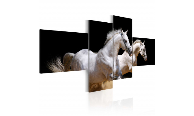 Obraz - Svět zvířat - bílí koně v trysku
