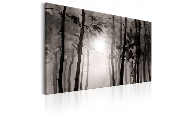 Obraz - Foggy Forest