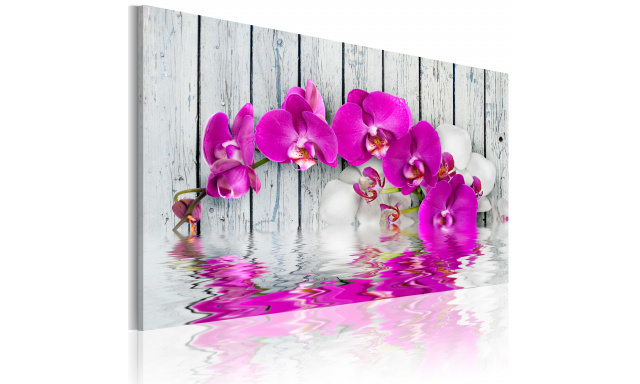 Obraz - harmonie: orchidea