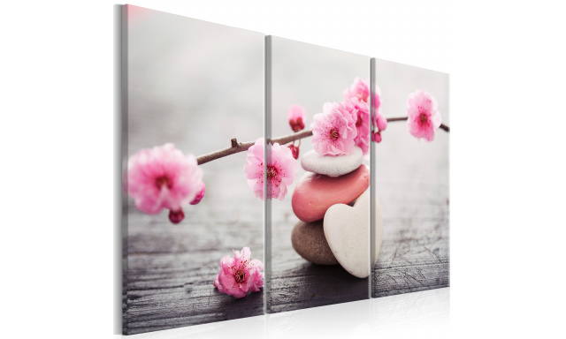 Obraz - Zen: Cherry Blossoms II