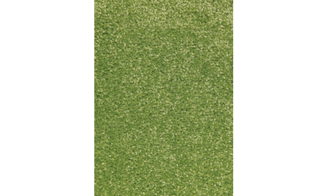 Kusový koberec Nasty 101149 Grün-140x200
