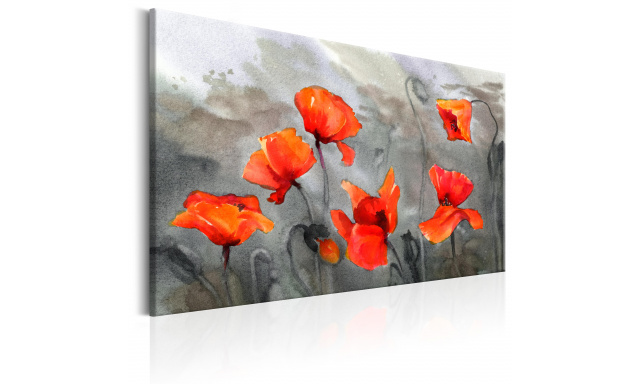 Obraz - Poppies (Watercolour)