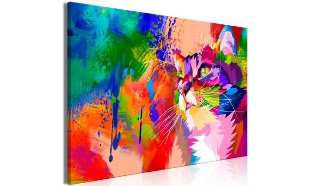 Obraz - Colourful Cat (1 Part) Wide